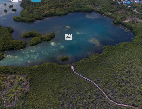 Old Point Mangrove Regional Park